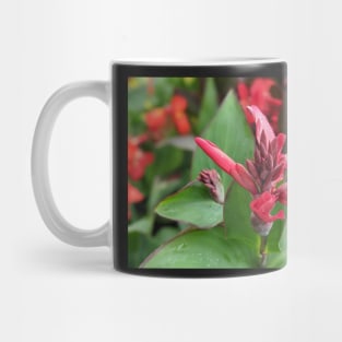 Pink Flower Blooming in Large Leaves Mug